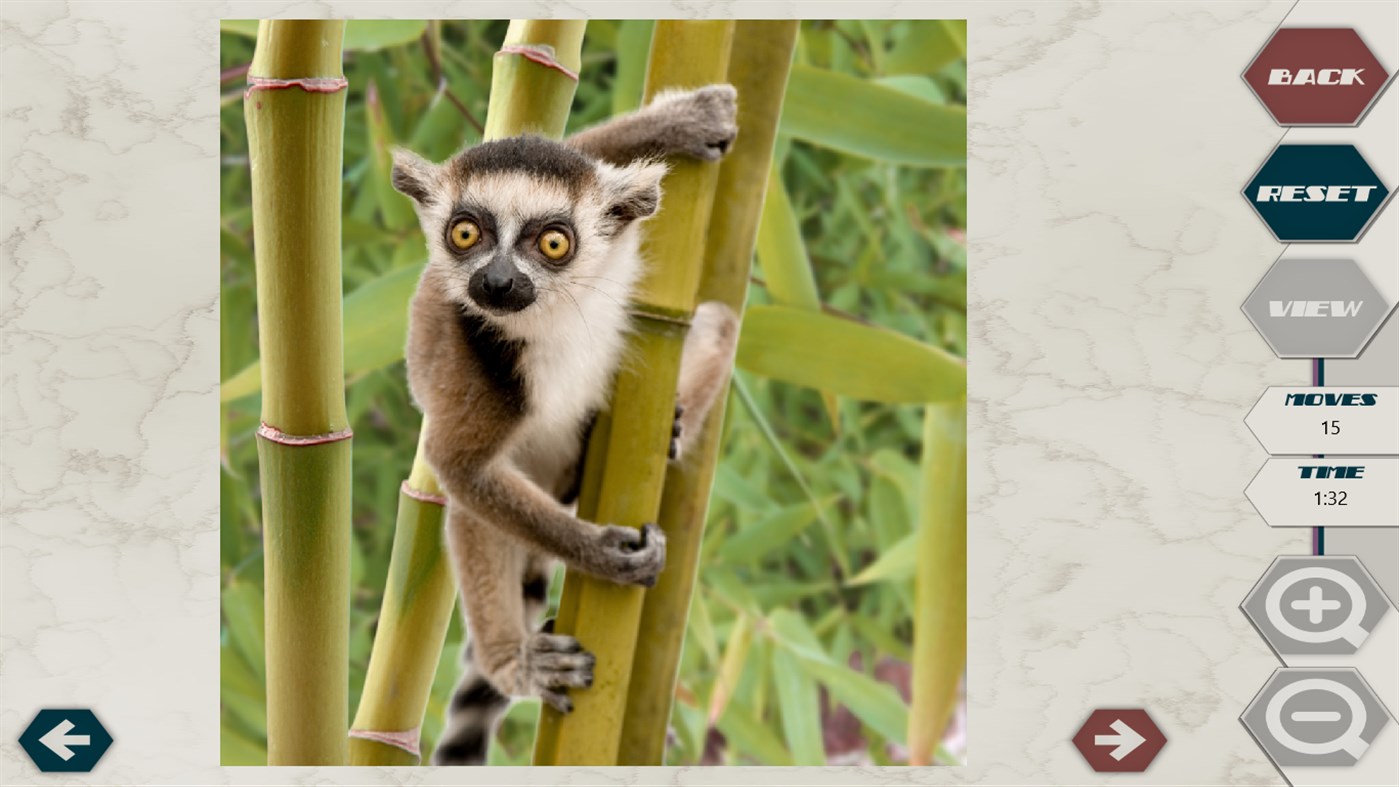 #4. HexSaw - Zoo (Windows) 由: GabySoft