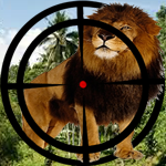 Real Lion : Wolf Jungle Hunt