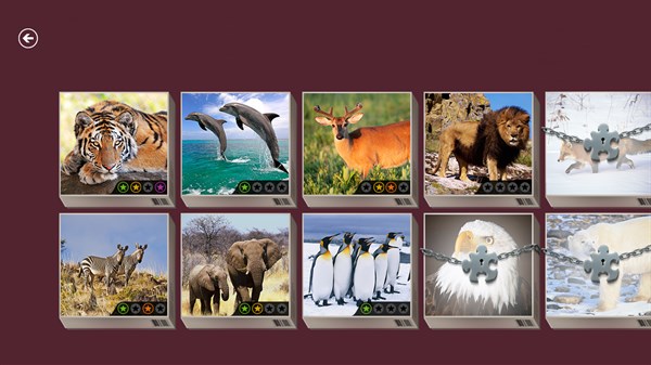 Microsoft Jigsaw — 8