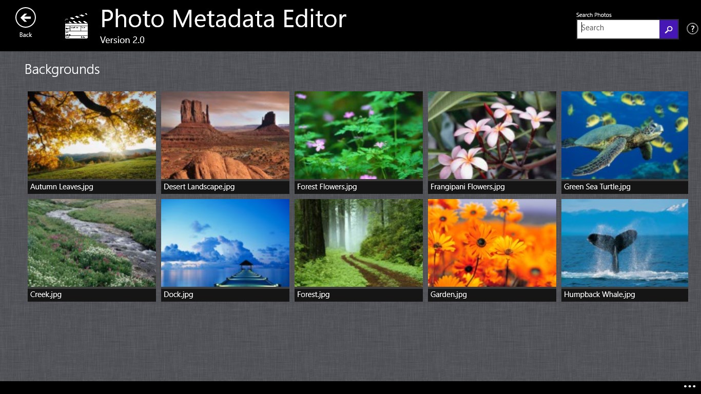 Photo metadata Editor. Photo exif Editor.