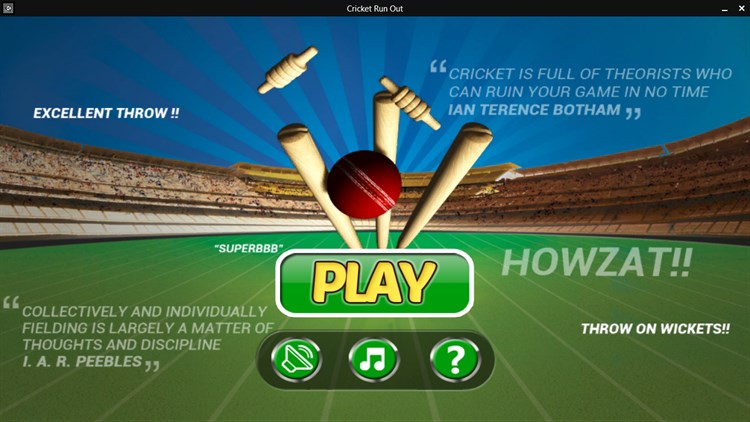 Cricket Run Out 3D - PC - (Windows)