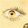The eye seer
