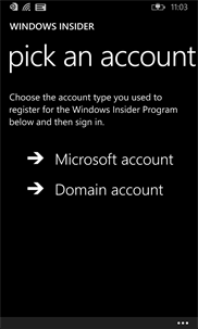 Windows Insider screenshot 2