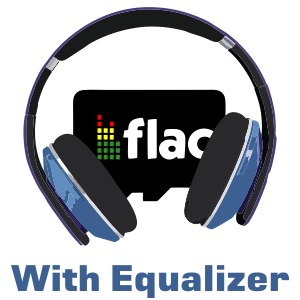FLAC player SD