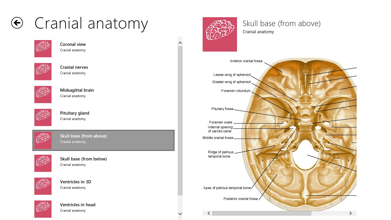 NeuroMind screenshot