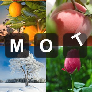 4 Images 1 Mot Deluxe