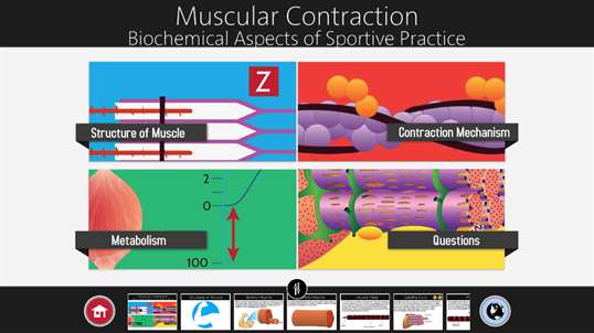 Muscle Contraction screenshot 1
