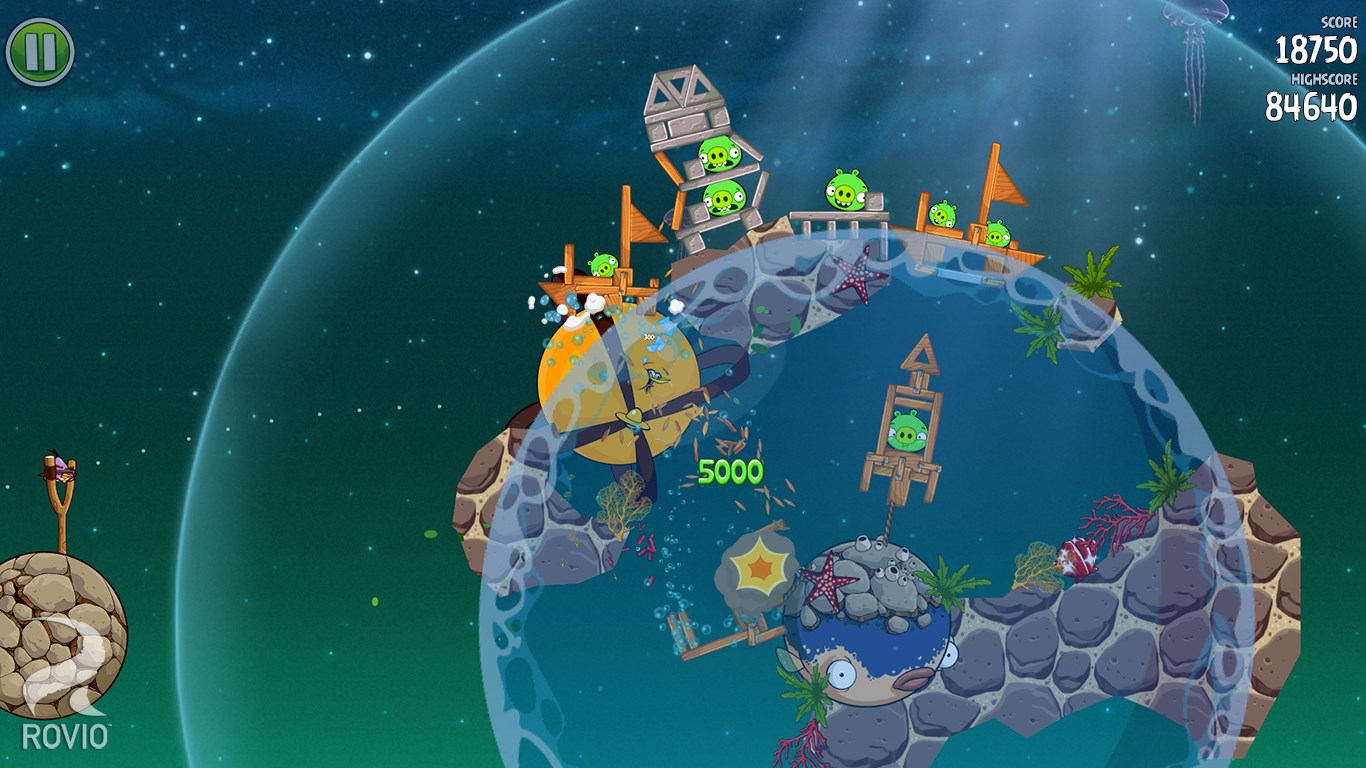 Orange bird now in space!