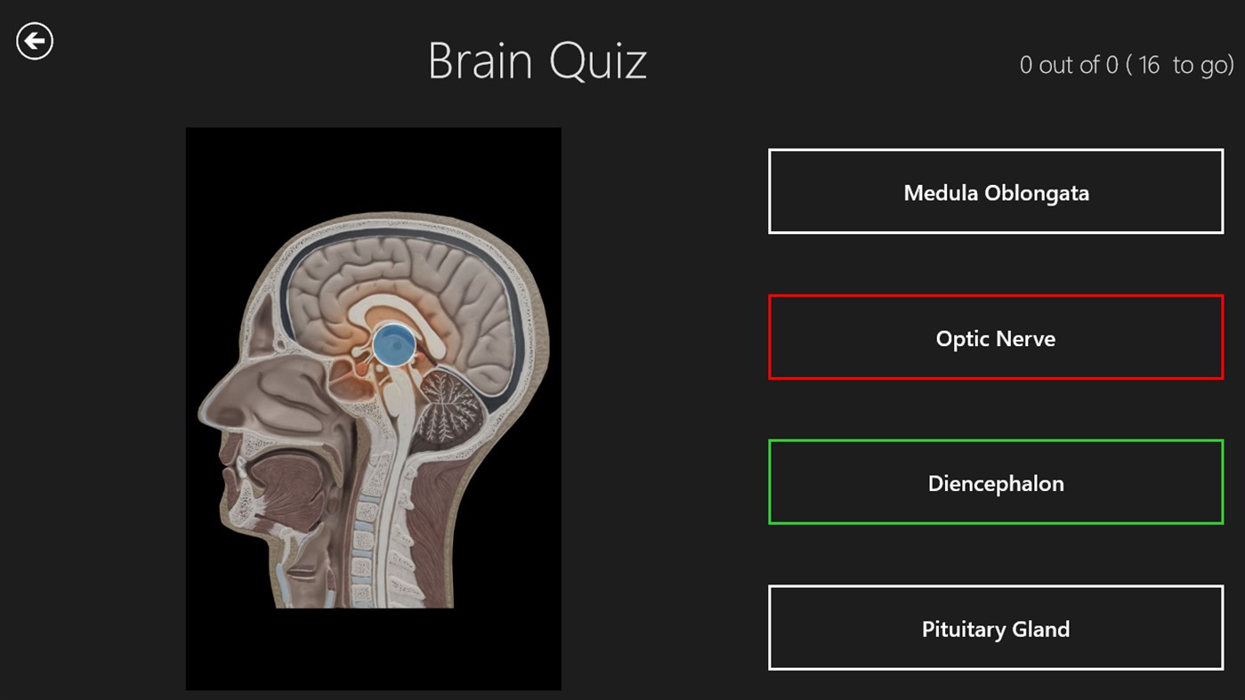 #4. Anatomy 3D: Organs (Windows) Podle: Real Bodywork