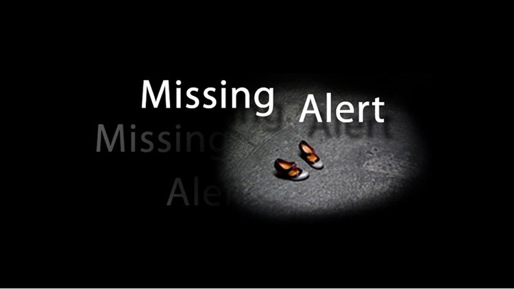 Missing Alert - PC - (Windows)