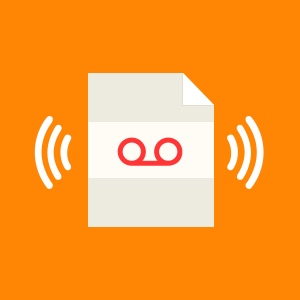 myAudioNotes Pro