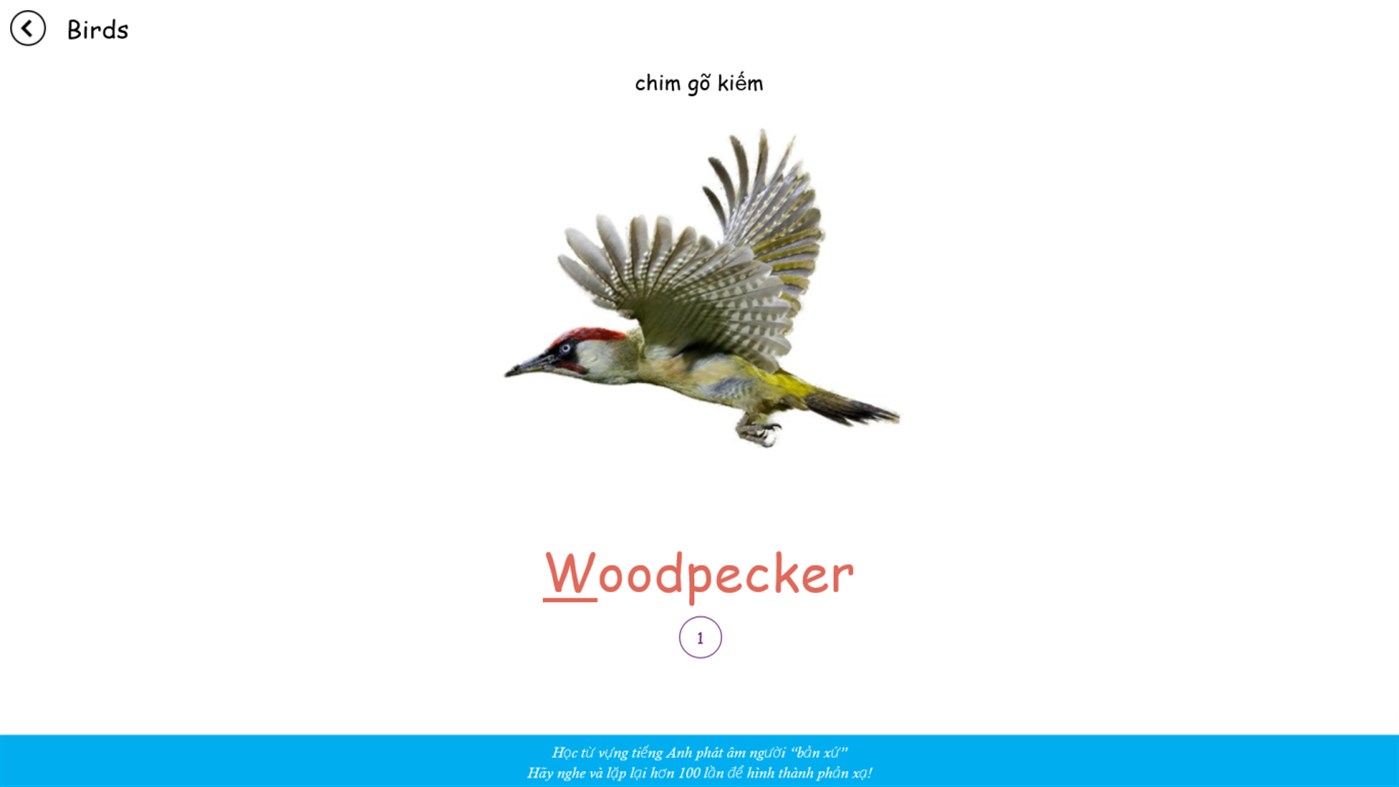 #6. Kids Flashcards for Vietnamese (Windows) Podle: Kelyn Le