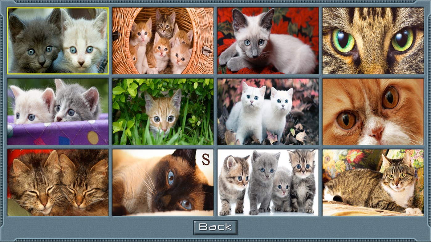 #2. Cat Scratch (Windows) By: Ron Heuse