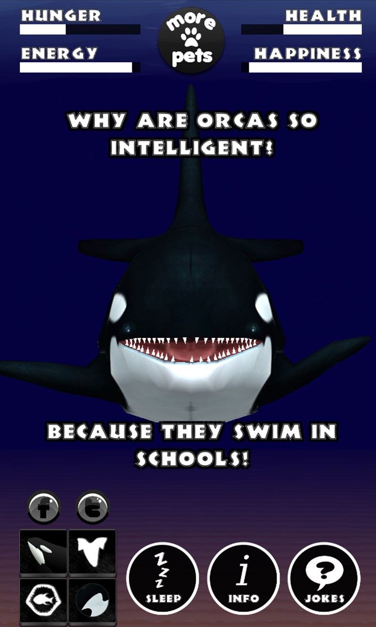 Image 8 Virtual Pet Orca - The Killer Whale windows