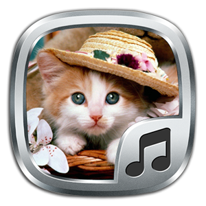 Get Cat Sounds Ringtones - Microsoft Store en-IN