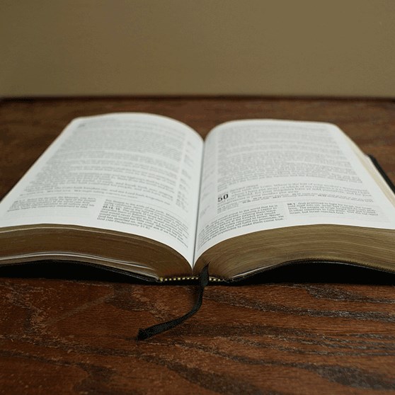 Daily Bible Reading