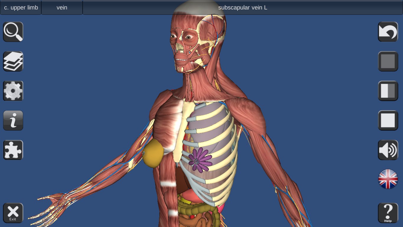 3D Human Anatomy for Windows 10