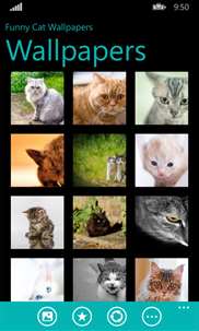 Funny Cat Wallpapers screenshot 6