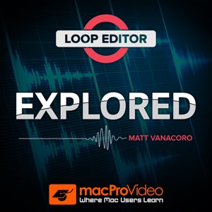 Course For Loop Editor
