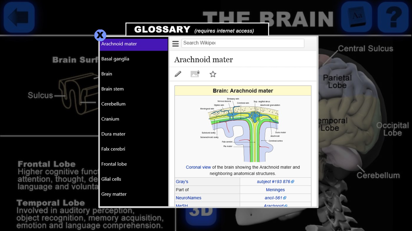 #3. Anatomy 3D: Organs (Windows) Podle: Real Bodywork