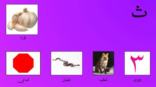 My First Book of Arabic screenshot 4