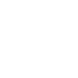 CGI Exploration2Revenue Mobile Data Capture