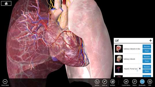 Essential Anatomy 3 for Windows 10 PC Free Download - Best Windows 10 Apps