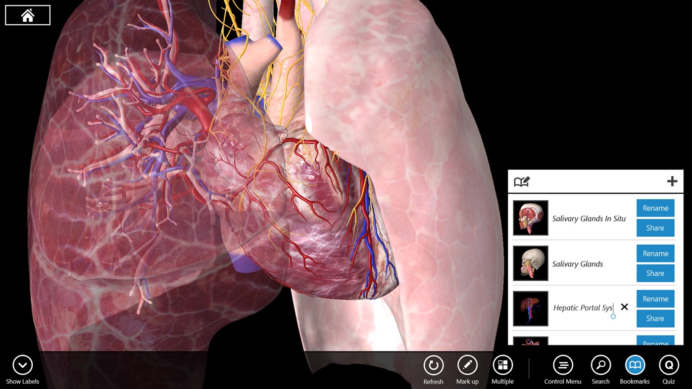 #7. Essential Anatomy 3 for Organizations (Windows) 由: 3D4Medical