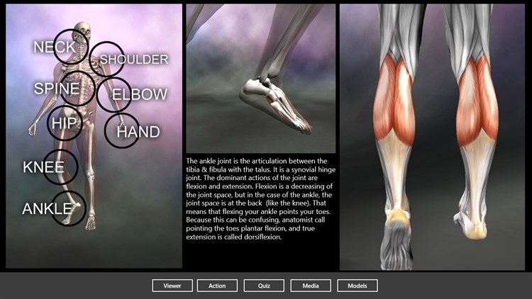 Muscle and Bone Anatomy 3D - PC - (Windows)
