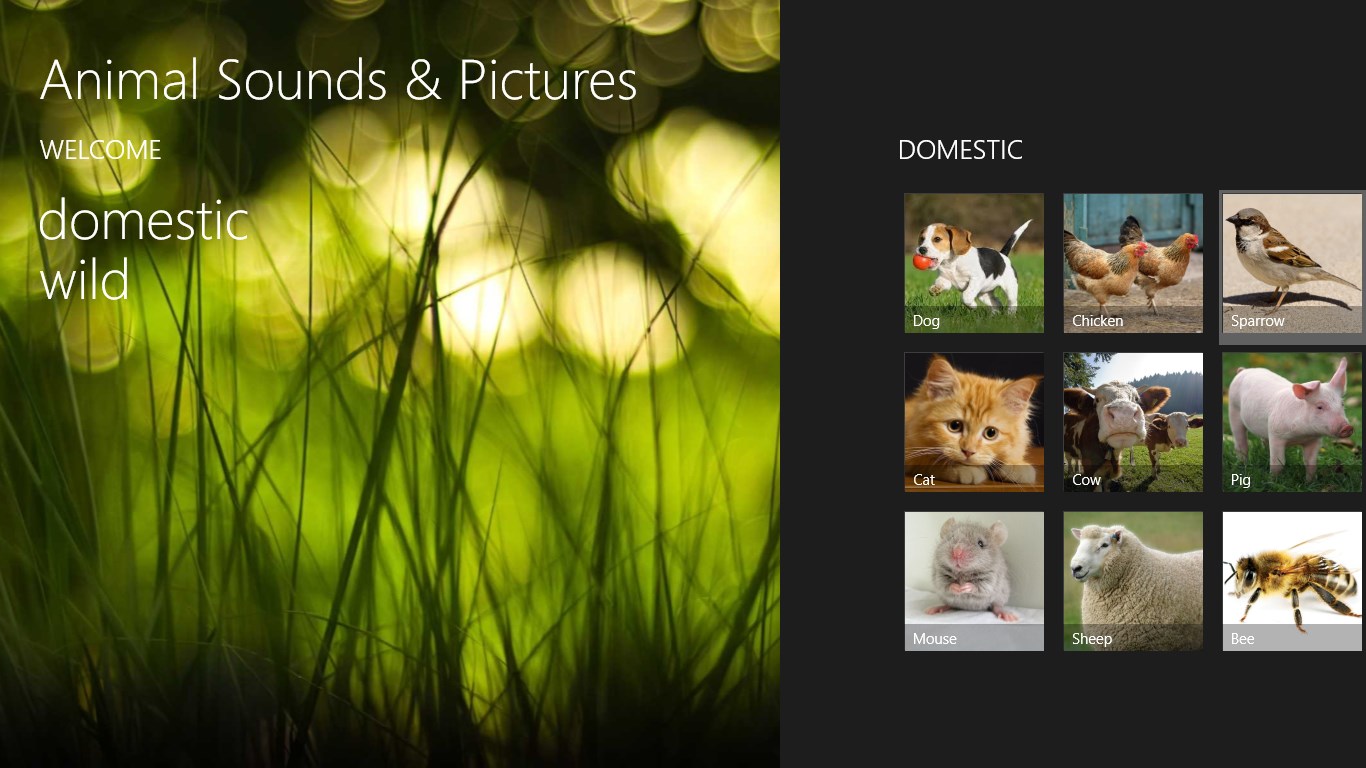 Значок звука. Значок громкости. Animals sounds. Звуковая волна. Sound picture.