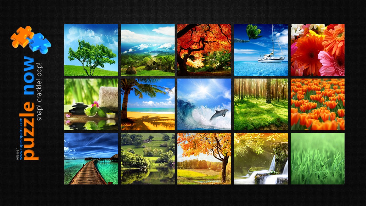 #1. Puzzle Now! (Windows) By: RupeshPatric