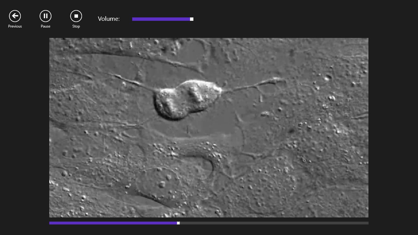 #5. Anatomy 3D: Organs (Windows) Podle: Real Bodywork