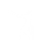 Cricket Videos