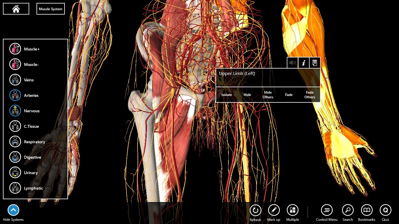 complete anatomy app windows