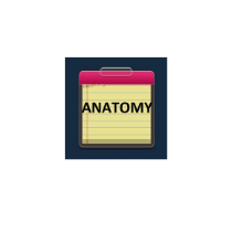 69fe52 Anatomy Study Guide