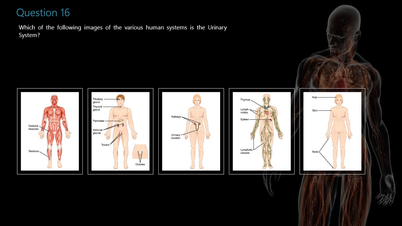#5. Human Anatomy and Physiology Quiz (Windows) Podle: Led Industries