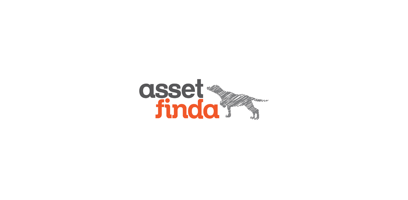 #3. AssetFinda (Windows) 由: AssetFinda
